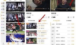 乌鸦爆料老罗视频大全集,老罗视频大全集深度解析