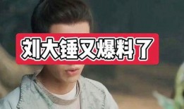 刘大锤最新爆料2.16,2.16重大事件幕后真相