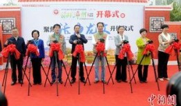 漳州媒婆爆料新闻,揭秘当地婚恋市场背后真相