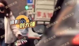 某网红爆料李易峰视频播放,网红爆料背后真相揭秘