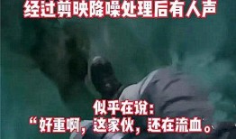 六哥爆料雪茄事件视频播放,雪茄事件视频播放背后的真相