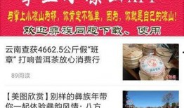 新闻爆料凉山最新,聚焦发展新篇章