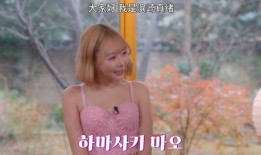 韩国成人台在线观看,揭秘私密娱乐世界