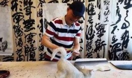 崔永元最近爆料视频,揭露娱乐圈惊人内幕