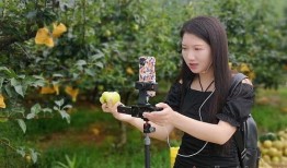 江华直播爆料视频在哪看,揭秘热门内容获取途径