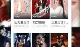 演员爆料家暴视频播放下载,视频播放下载引发社会关注