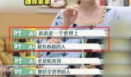 小美弟弟爆料视频全集在线观看,揭秘不为人知的背后真相