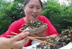 胖妹陈说美食最新爆料,美食界的最新爆款，你绝对不能错过！