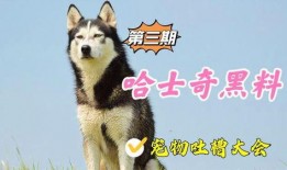 宠物黑料爆料视频,视频爆料揭露宠物行业惊人内幕