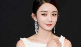 赵丽颖的最新爆料,揭秘演艺生涯背后的心酸与坚持