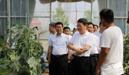 老王爆料五五开幻神视频,老王爆料揭示电竞传奇背后的秘密