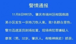 新闻爆料犯罪案例,无辜少年惨遭毒手，警方全力追捕凶手