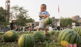 大学吃瓜群众免费,免费获取校园资讯的神秘力量