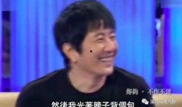 金星爆料刘芸郑钧视频,娱乐圈风波再起