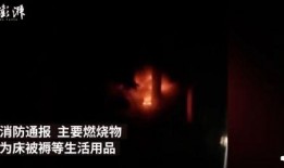 一夜就好在线观看,浪漫邂逅，情感纠葛的奇幻之旅