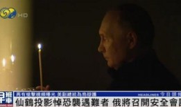 放羊人龙哥爆料视频,放羊人爆料视频背后的惊人真相