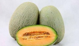 阿婆吃哈密瓜视频大全免费观看,阿婆吃哈密瓜视频大全，欢乐时光尽在此处