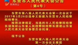 人大最新爆料,揭秘重大事件背后真相