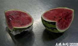 吃瓜娱乐菌,吃瓜娱乐菌带你探秘明星生活