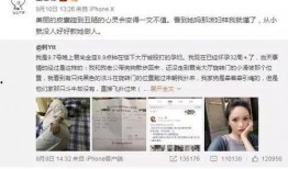 匿名爆料思聪视频全集,思聪视频全集幕后真相，匿名爆料揭露不为人知的一面