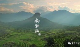 遂川县爆料新闻,揭秘当地民生热点事件背后的真相