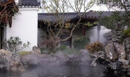 天瀑学府爆料视频,独家爆料视频深度解析