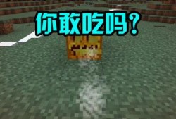 新瓜最新爆料tnt,揭秘娱乐圈背后的惊人真相