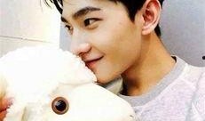 杨洋最新 爆料微博视频,幕后故事大公开