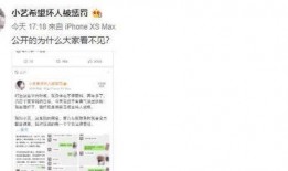 信宜小艺爆料事件视频播放,揭秘事件背后真相