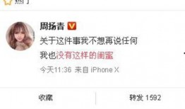 宁乡新闻爆料网最新消息,最新动态速览，揭秘本地热点事件！