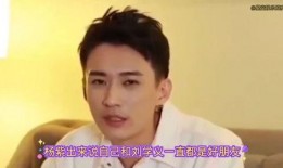 明星爆料父子视频大全,父子情深瞬间，温馨视频大盘点