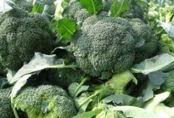 西兰花种植爆料视频教程,揭秘视频教程核心要点