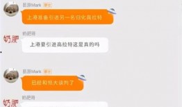 上港记者爆料新闻,揭秘球队最新动态与幕后故事