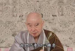 零零性性在线观看,在线观看背后的故事与启示