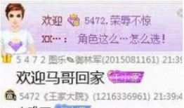 北京王哥爆料视频播放网站,北京王哥爆料视频播放网站背后的秘密