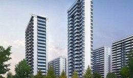 绿地爆料最新消息新闻,最新消息揭露行业动态，揭秘背后真相