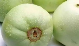 甜瓜有个厂最新爆料,最新爆料带你探秘甜瓜产业背后故事