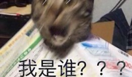 狗仔爆料云鹿是真的吗视频,云鹿真相揭秘，视频证据揭示惊人内幕