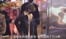 狗仔爆料云鹿是真的吗视频,云鹿真相揭秘，视频证据揭示惊人内幕