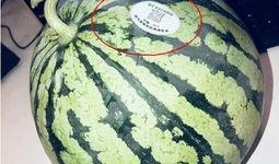 国产网红吃瓜,揭秘娱乐圈幕后风云