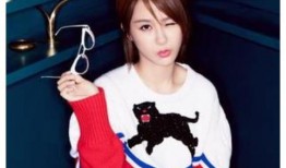 杨紫相亲爆料视频大全下载,明星相亲幕后故事大盘点