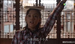 一线吃瓜娱乐圈免费,揭秘明星幕后故事