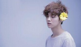 狗仔爆料云鹿是真的吗视频,云鹿真相揭秘，视频证据揭示惊人内幕