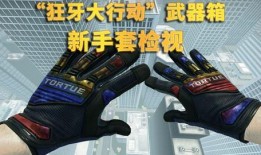 手套皮肤爆料怎么做视频,视频制作攻略全解析